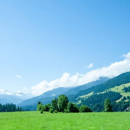 Apartment Near Gondola In Tyrol, Cleaning Included Holzham